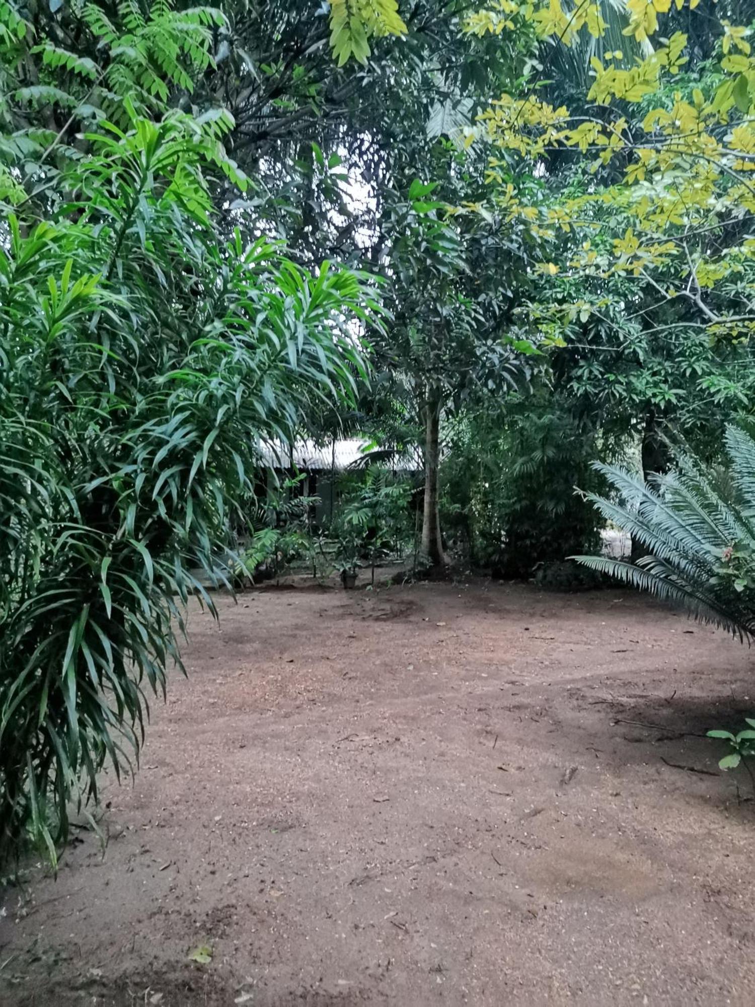Sigiri Mango Garden Eco Resort Sigiriya Dış mekan fotoğraf