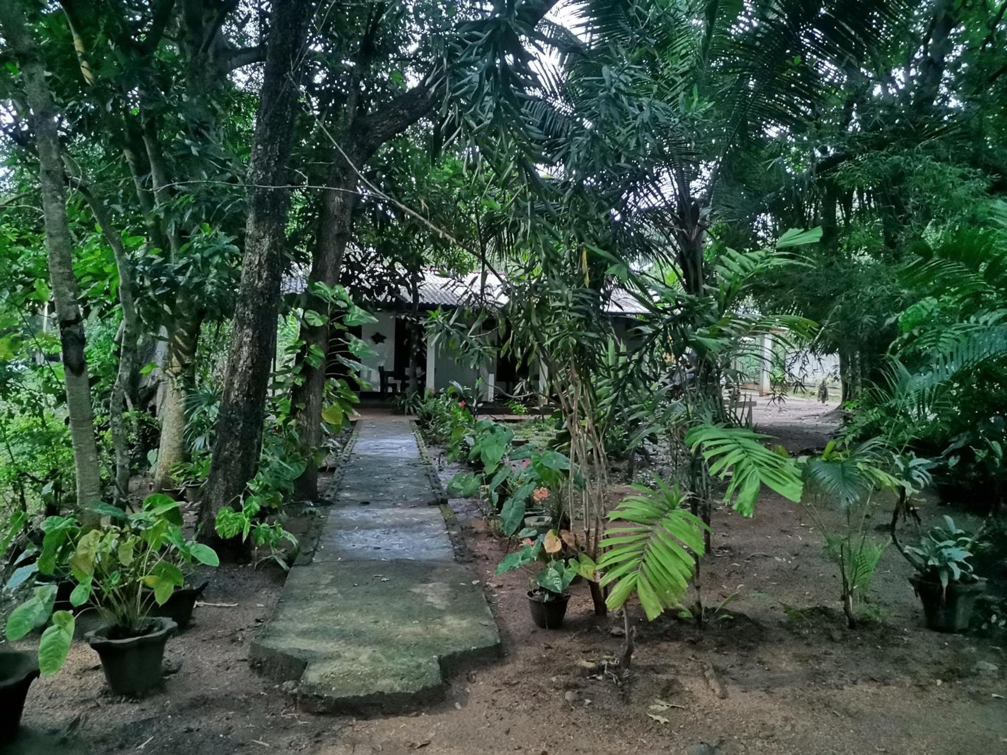 Sigiri Mango Garden Eco Resort Sigiriya Dış mekan fotoğraf