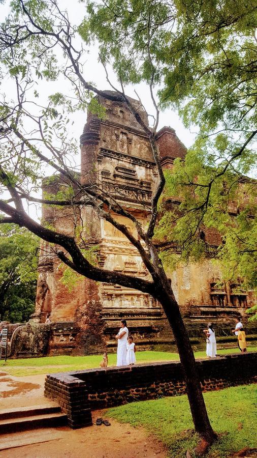 Sigiri Mango Garden Eco Resort Sigiriya Dış mekan fotoğraf