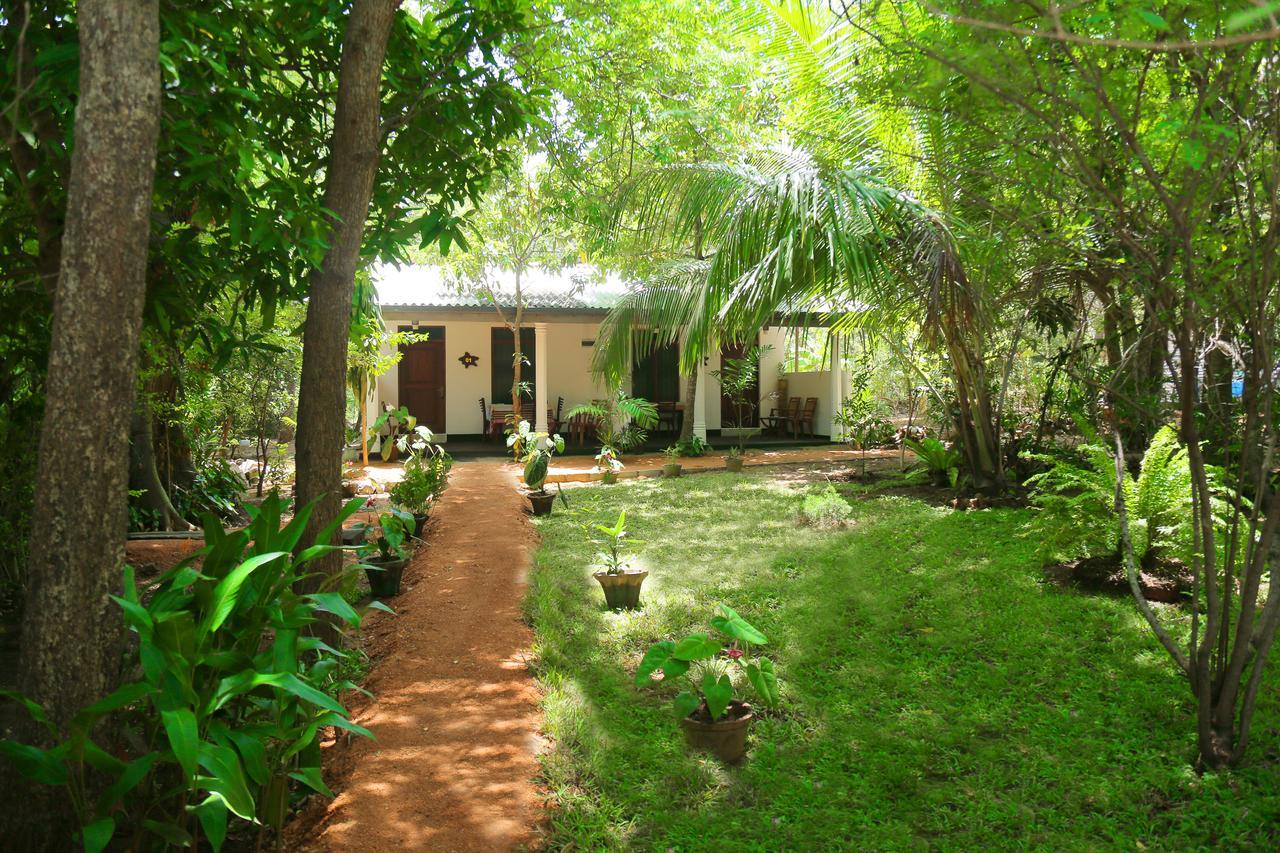 Sigiri Mango Garden Eco Resort Sigiriya Dış mekan fotoğraf