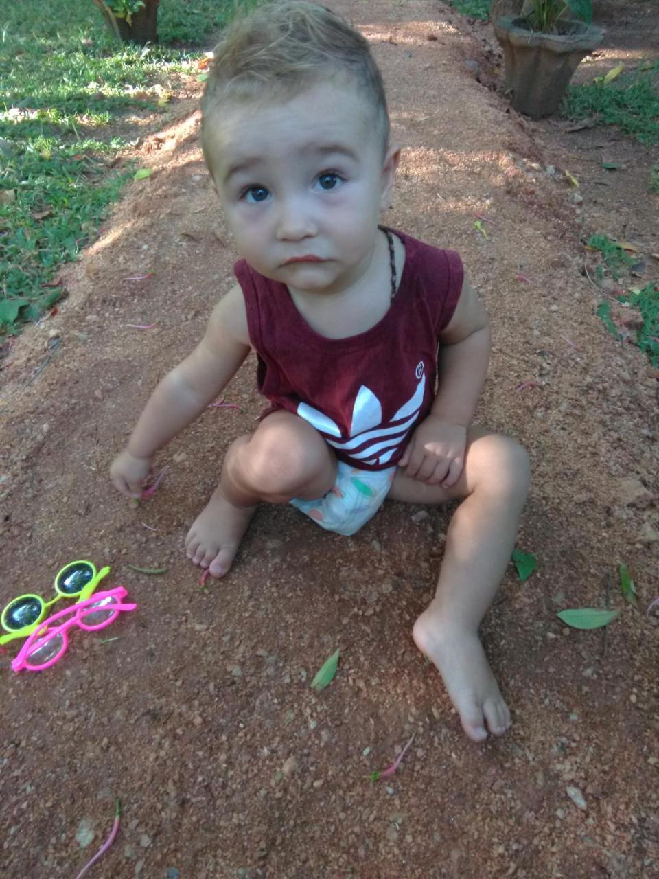 Sigiri Mango Garden Eco Resort Sigiriya Dış mekan fotoğraf