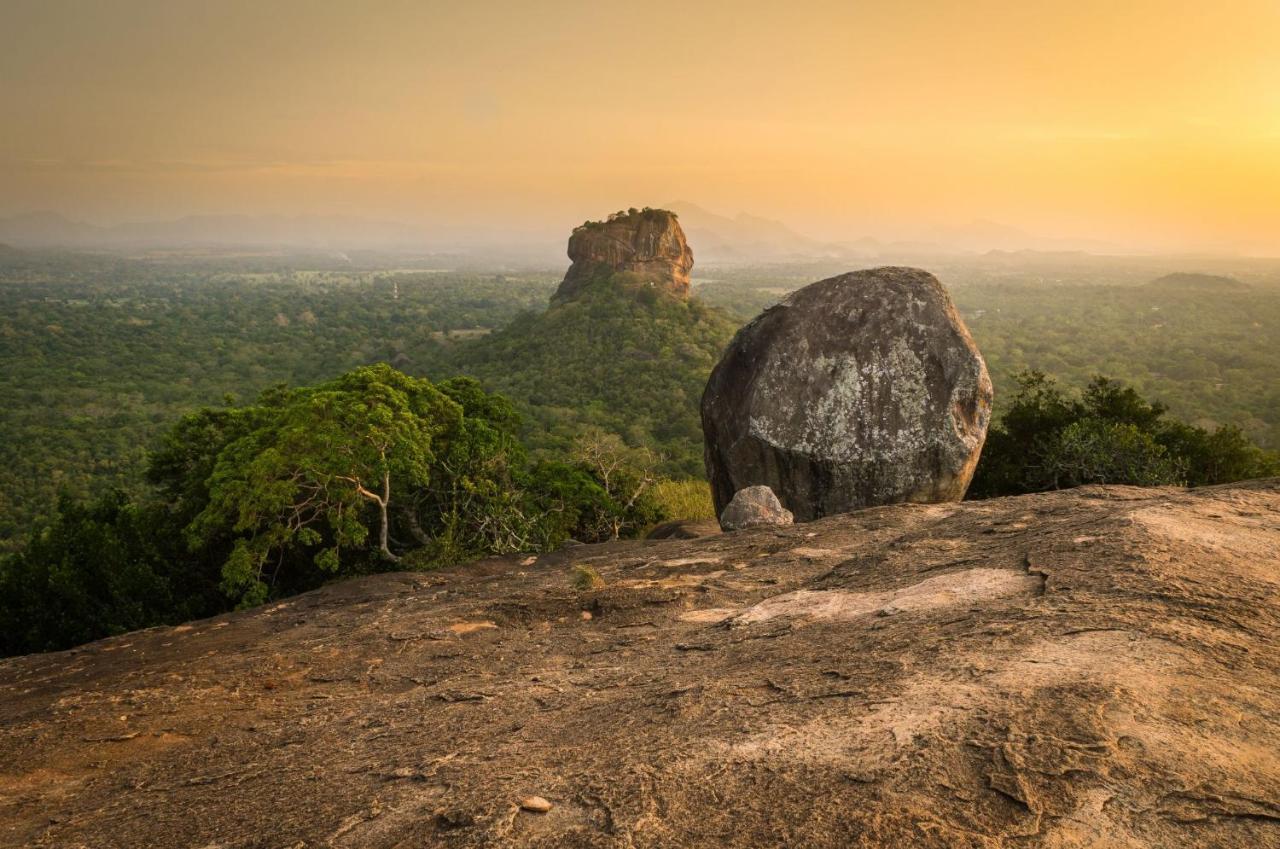 Sigiri Mango Garden Eco Resort Sigiriya Dış mekan fotoğraf